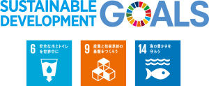 SUSTAINABLE DEVELOPMENT GOALS