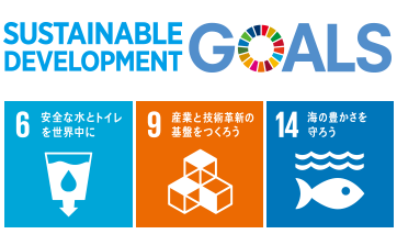 SUSTAINABLE DEVELOPMENT GOALS